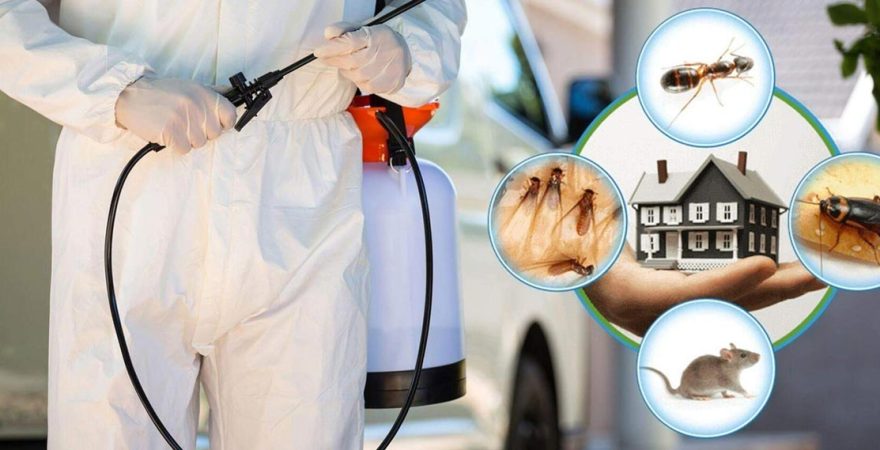 Gelendost Böcek İlaçlama