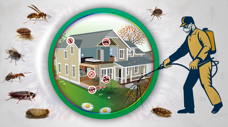 Gelendost Böcek İlaçlama