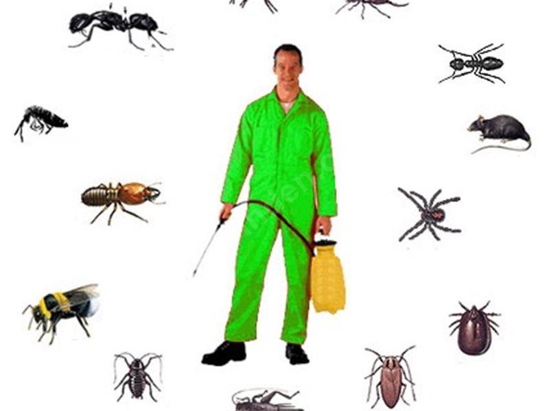 Gelendost Böcek İlaçlama